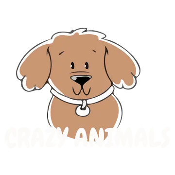 CrazyAnimals